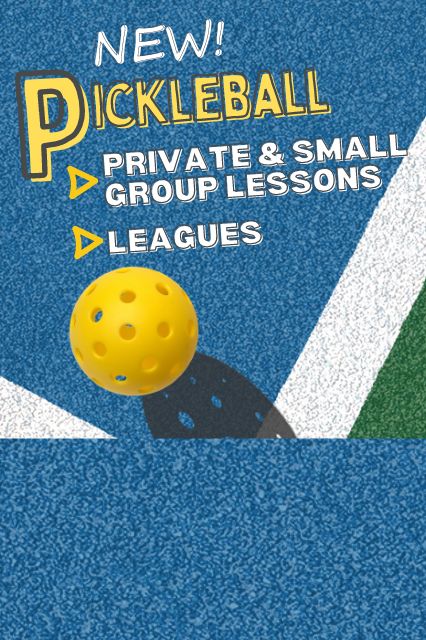 Pickleball Private and Small Group Lessons and Leagues
